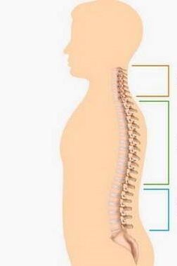 Néierlag duerch Osteochondrose vu verschiddenen Deeler vun der Wirbelsäule